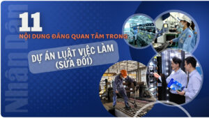 Các điểm chính trong dự thảo Luật Việc làm (sửa đổi)